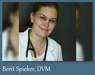 Meet Dr. Berit Spieker Veterinarian at Randhurst Animal Hospital