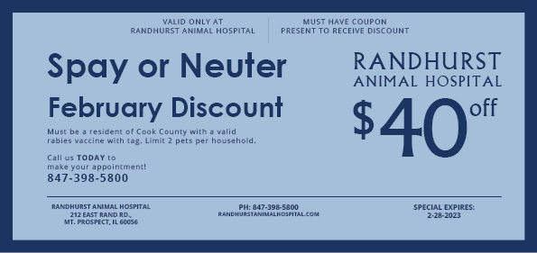 Spay or Neuter February Special at Randhurst Animal Hospital