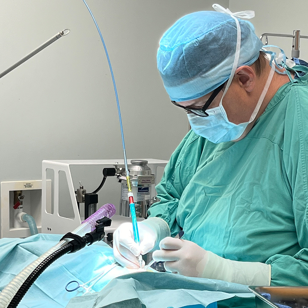 Veterinary Laser Surgery