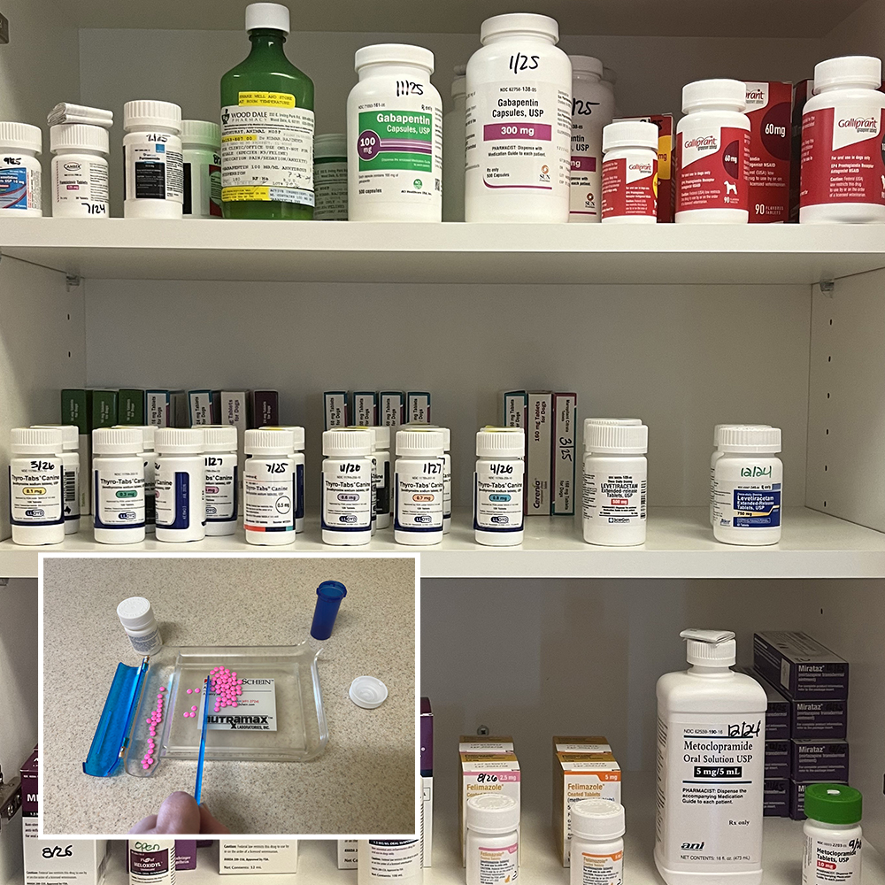 In-House Pet Pharmacy