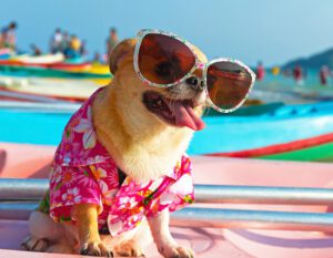 Summer Safety Tips
