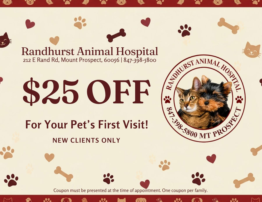 $25-Off-Exam-Coupon-for-New-Clients