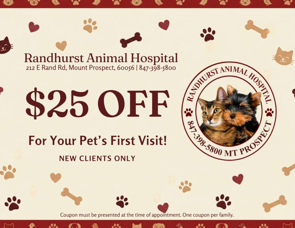 $25-Off-Exam-Coupon-for-New-Clients